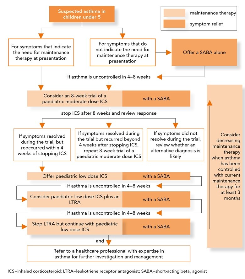 Asthma Guidelines 2024 Usaid Clarey Judith